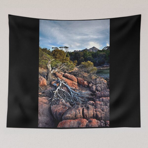 Item preview, Fallen tree pano designed and sold by andreisky.