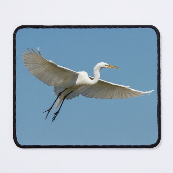 Item preview, Great Egret 2014-18 designed and sold by Thomasyoung.
