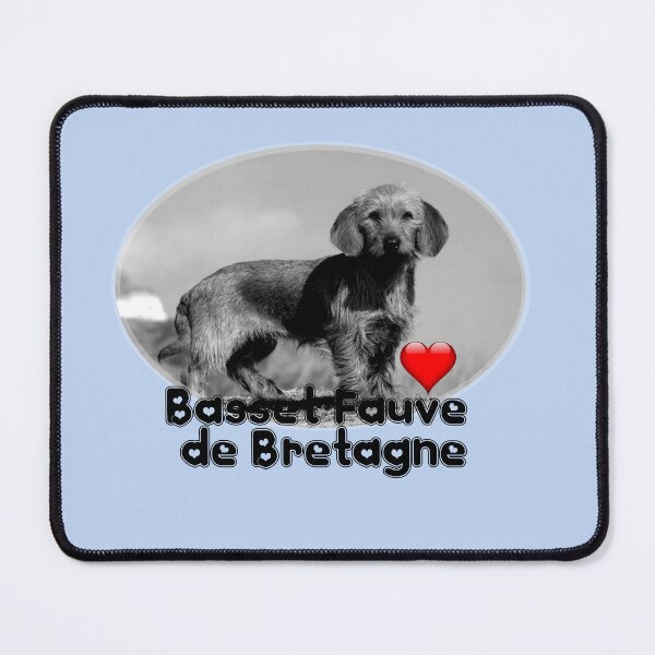 Item preview, Basset Fauve de Bretagne - Love heart designed and sold by S Quinn.