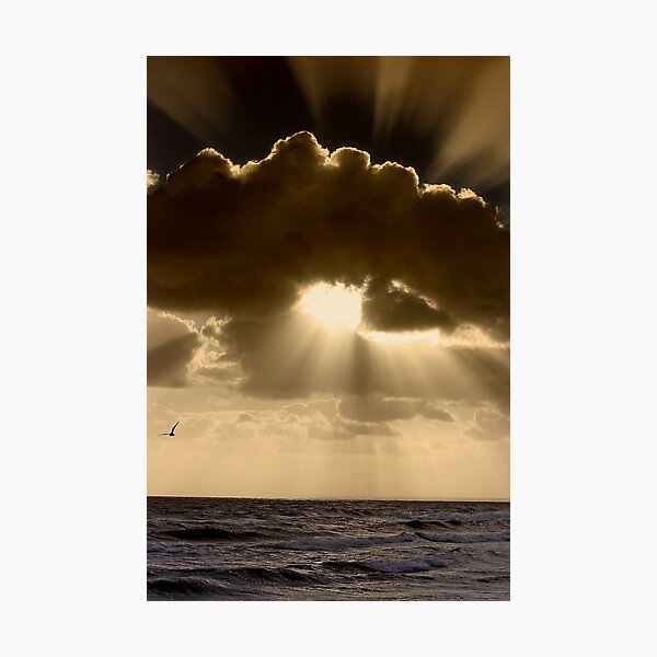Beauty Photographic Print