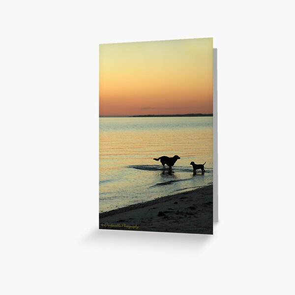 Friends at Sunset Greeting Card