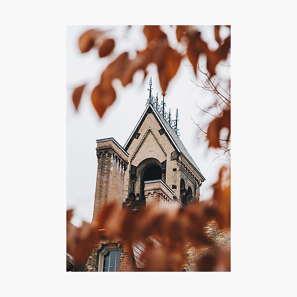 Fall leaves at UofT 2 Photographic Print