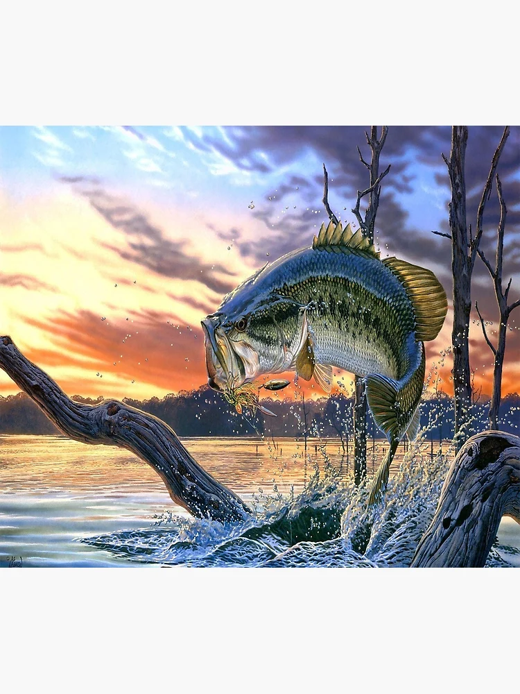 Póster for Sale con la obra «fondo de pantalla de pesca de lubina