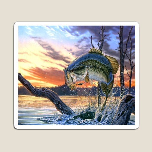 Striped Bass Magnet: Great Gift for Fisherman or Fisherwomen Game Fish  Magnets for Locker or Fridge 