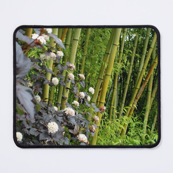 Item preview, PALACIO DE BAMBÚ designed and sold by RithPix.