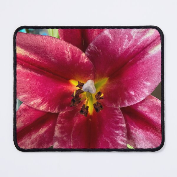 Item preview, Lilac Lily Flower Petals designed and sold by Sinemathk.