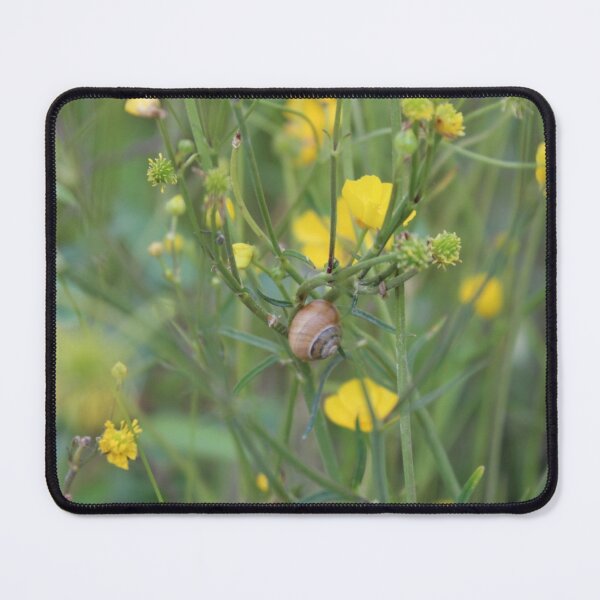 Item preview, SNAIL LIFE designed and sold by RithPix.