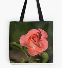 Autumn Roses Tote Bag
