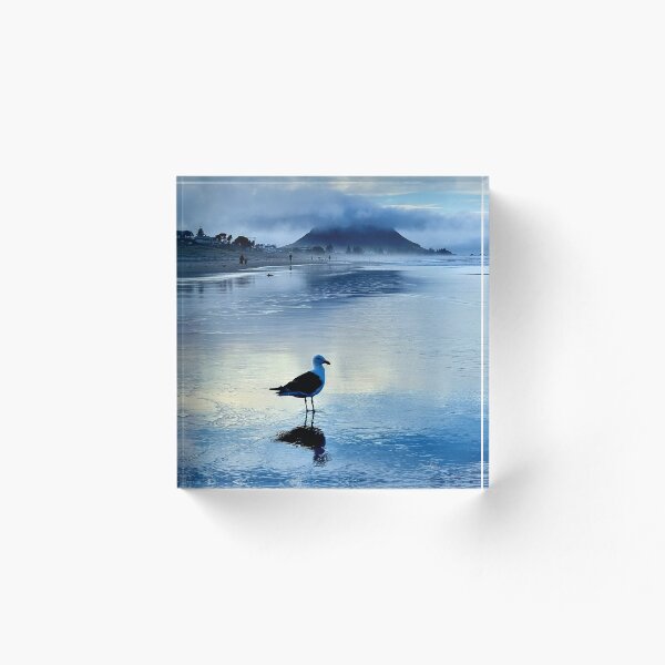 Item preview, SEAGULL MOUNT VIEW designed and sold by Steffi August.