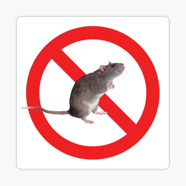 Artikel-Vorschau von Anti-Ratten-Schutzhelm-Aufkleber, lustig für Arbeiter und Handwerker, designt und verkauft von IdeaPangea.
