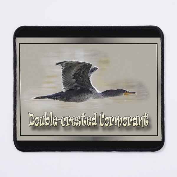 Item preview, Double-crested Cormorant designed and sold by CarolM.