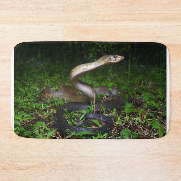 Item preview, Yellow-striped Racer, Indonesia designed and sold by CJHay.