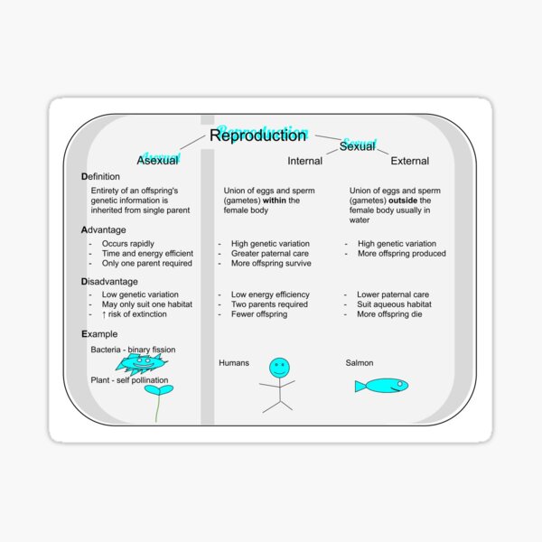 Internal & external reproduction biology study sticker Sticker
