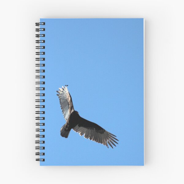 Item preview, TURKEY VULTURE 1 designed and sold by BOLLA67.