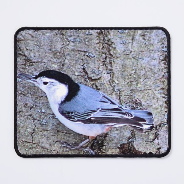 Item preview, GREY AND WHITE WOODPECKER 1 designed and sold by BOLLA67.