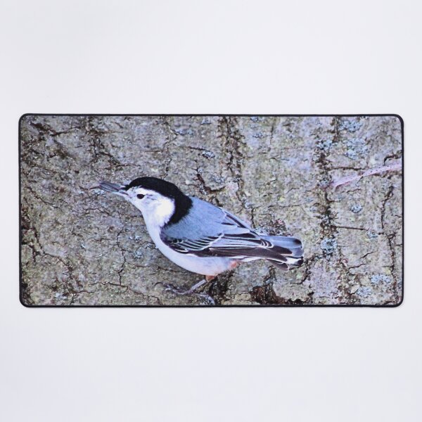 Item preview, GREY AND WHITE WOODPECKER 1 designed and sold by BOLLA67.