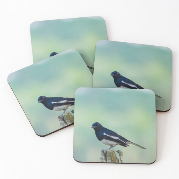 Item preview, A Wagtail designed and sold by MEJBAH09.