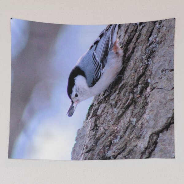 Item preview, GREY AND WHITE WOODPECKER 2 designed and sold by BOLLA67.