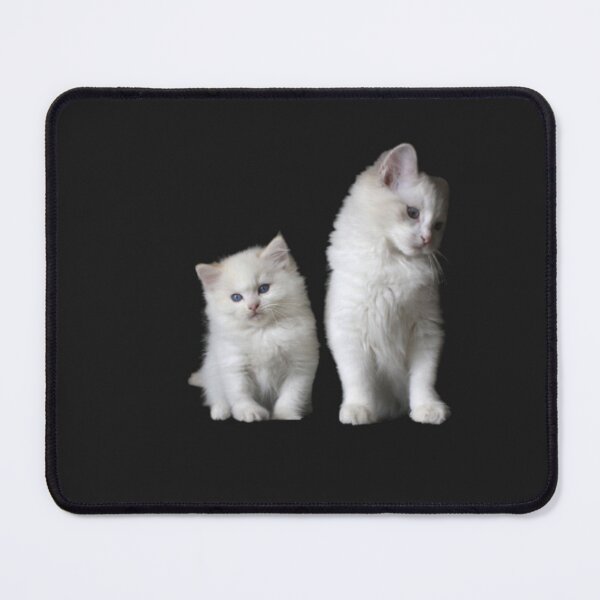 Item preview, white cat designed and sold by shanlexx.