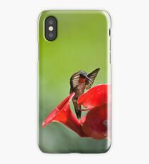 Saying Prayers iPhone Case/Skin