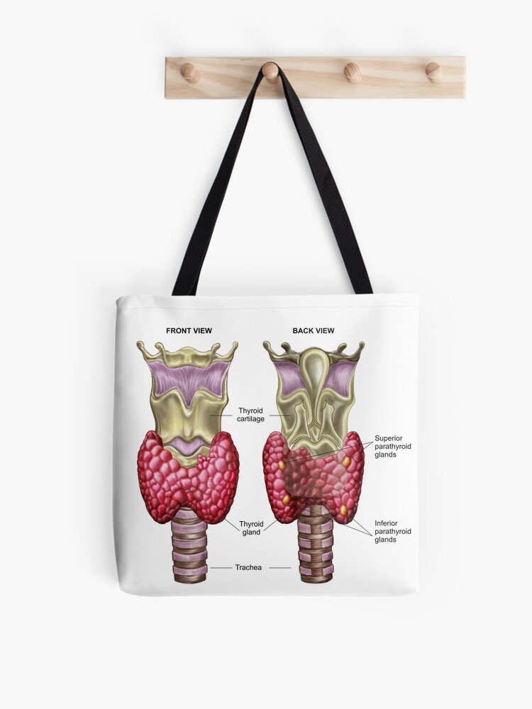 Anatomie Der Schilddruse Mit Kehlkopf Und Knorpel Stofftasche Von Stocktrekimages Redbubble