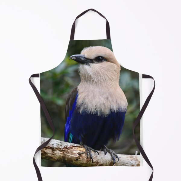 Item preview, Beautiful Blue Bellied Roller on a Branch designed and sold by richardbryce.
