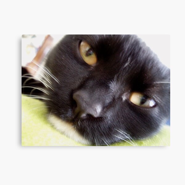 What? Canvas Print