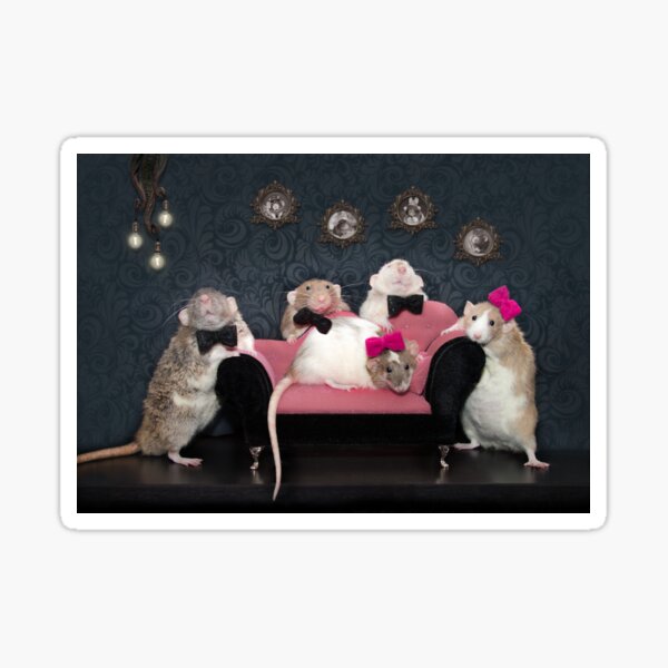 Item preview, Rat Family Portrait designed and sold by Martymouse.