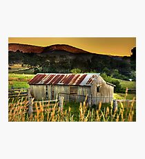 The old cattle yard - Judbury Photographic Print