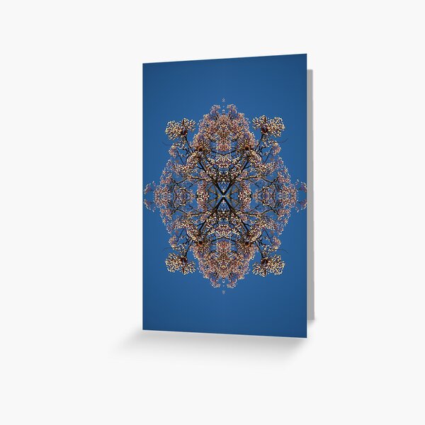 Blossom Burst #4 Greeting Card