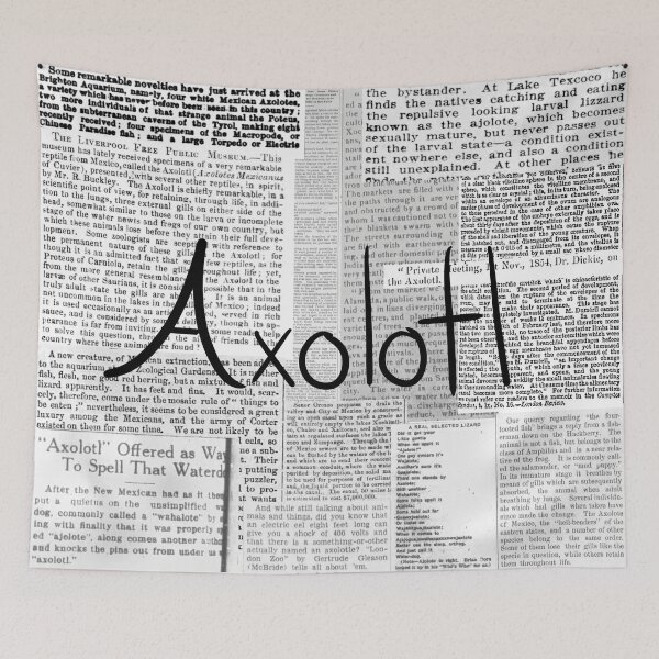Item preview, Axolotl Historic Newspaper Collage designed and sold by JulesNeerg.