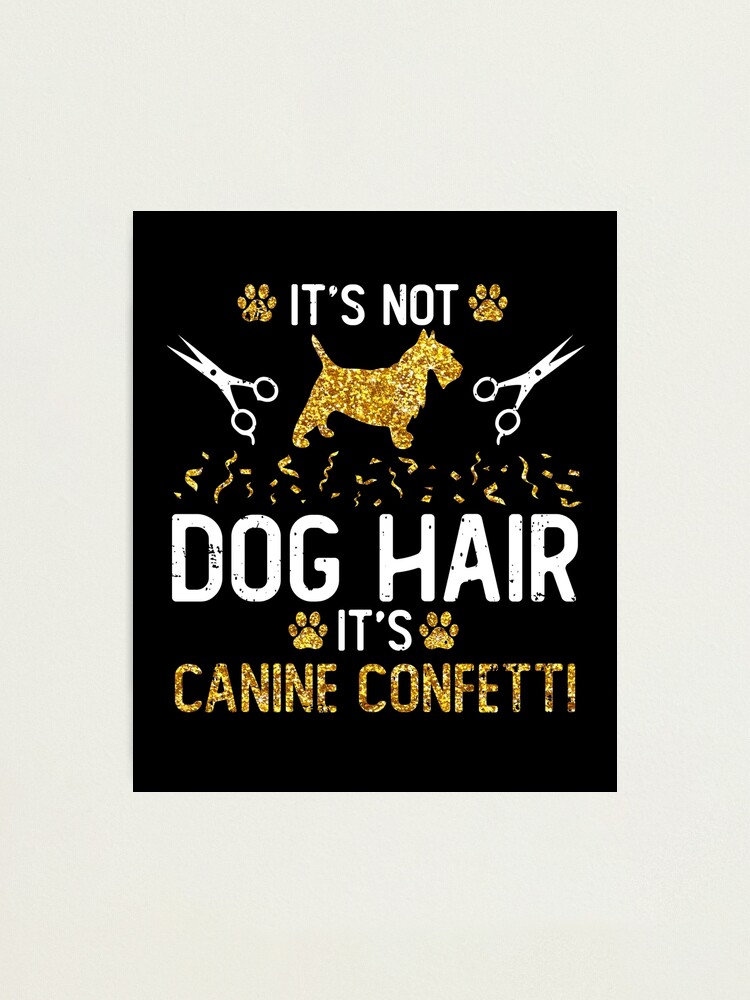 It's not dog hair it's hot sale canine confetti