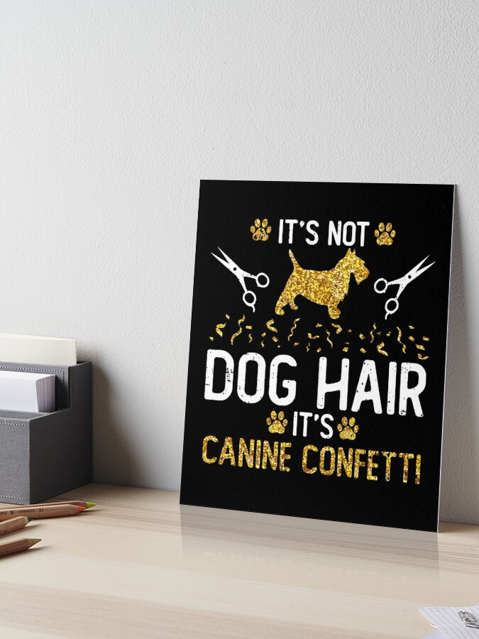 It's not dog 2025 hair it's canine confetti