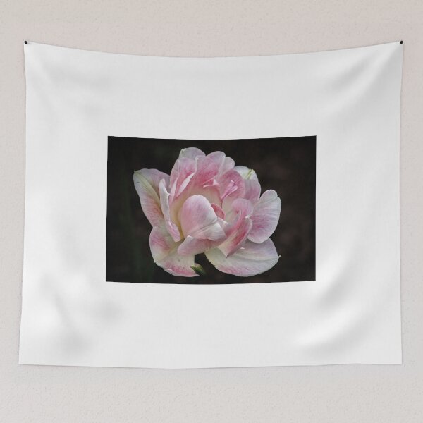 Item preview, Tulip 'Angélique' designed and sold by AnnDixon.