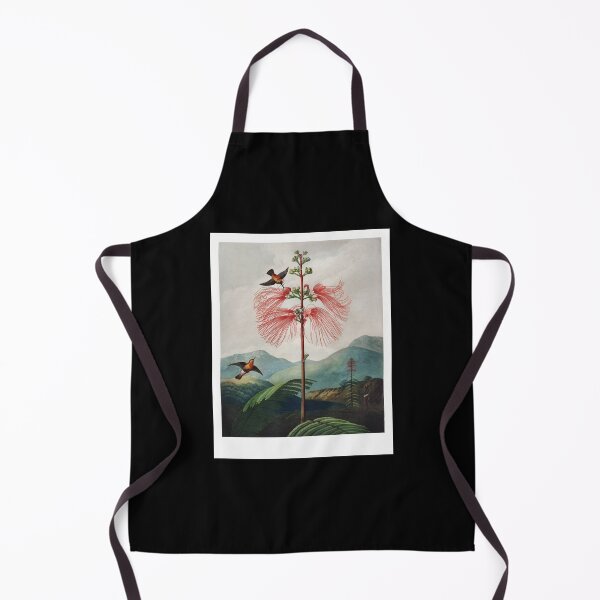 Item preview, Gifts Idea Large Flowering Sensitive Plant From The Temple Of Flora Gifts For Birthday designed and sold by ImaBoyle.