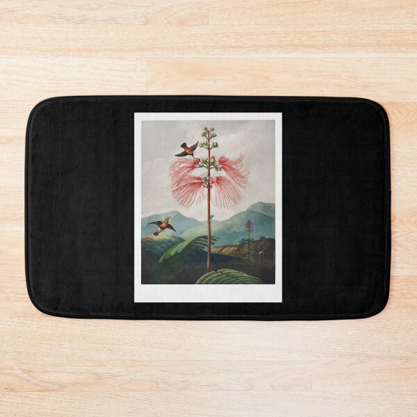 Item preview, Gifts Idea Large Flowering Sensitive Plant From The Temple Of Flora Gifts For Birthday designed and sold by ImaBoyle.