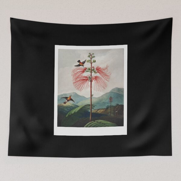 Item preview, Gifts Idea Large Flowering Sensitive Plant From The Temple Of Flora Gifts For Birthday designed and sold by ImaBoyle.