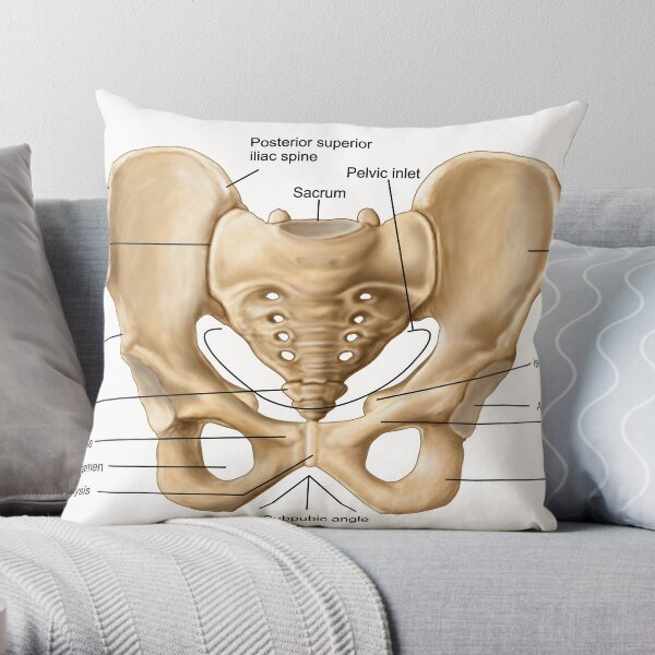 Anatomy of human pelvic bone. | Throw Pillow