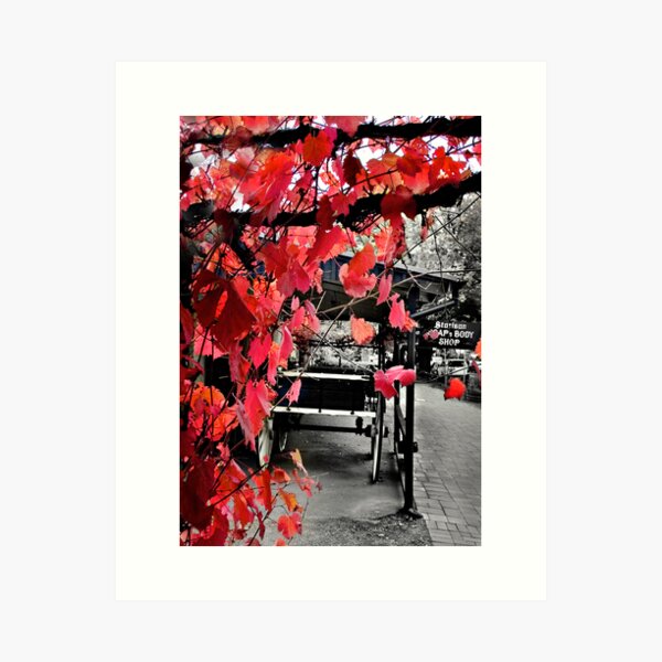 Item preview, Hahndorf South Australia designed and sold by Helen  Page.