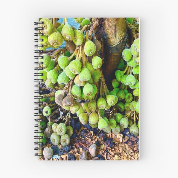 Item preview, Fig Fruit Tree designed and sold by Capture  Room.