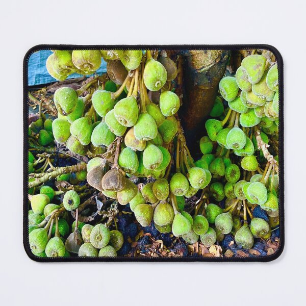 Item preview, Fig Fruit Tree designed and sold by Capture  Room.