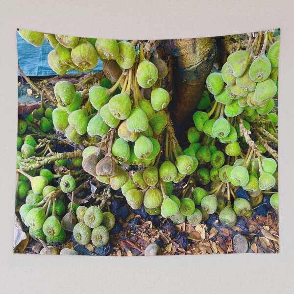 Item preview, Fig Fruit Tree designed and sold by Capture  Room.