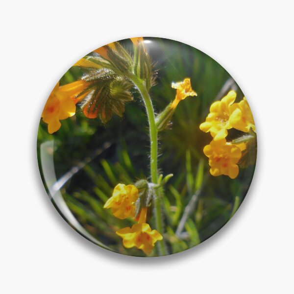 Item preview, We Have Fiddleneck designed and sold by Chris Gudger.