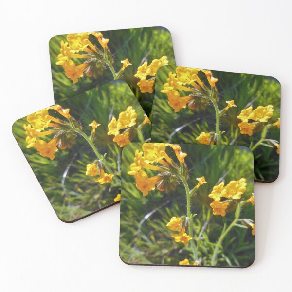 Item preview, We Have Fiddleneck designed and sold by Chris Gudger.