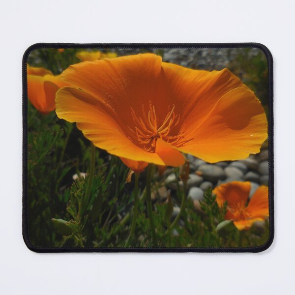 Artikelvorschau, Downtown Poppies I entworfen und verkauft von Chris Gudger.