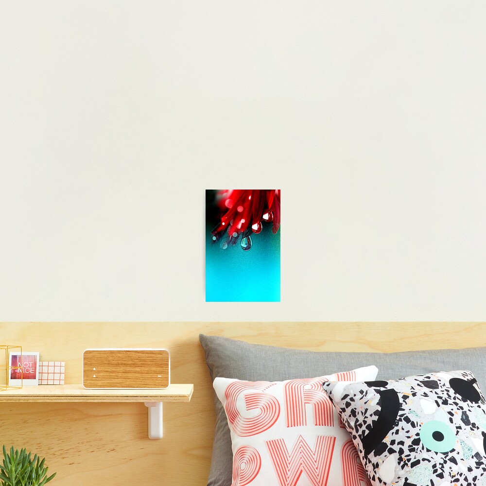 Item preview, Photographic Print designed and sold by AboveSeeLevel.