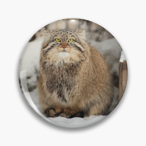 Item preview, Emma the Pallas's cat is waiting for spring to come designed and sold by Manulization.