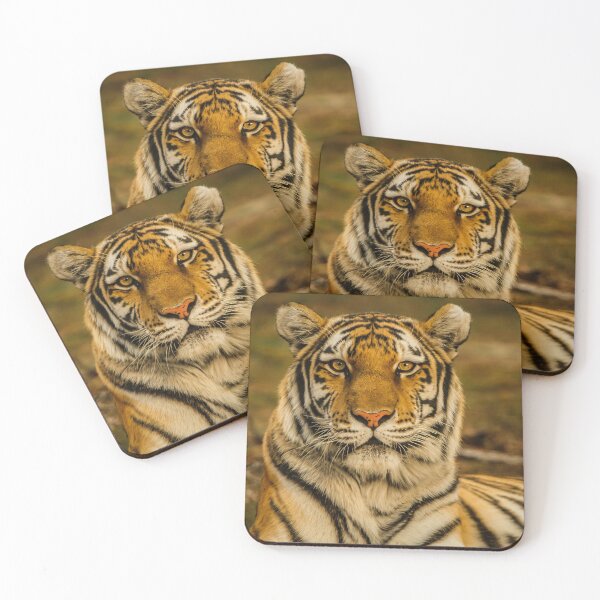 Item preview, wildlife photography of tiger laying on ground animal lovers designed and sold by BestDesign87.