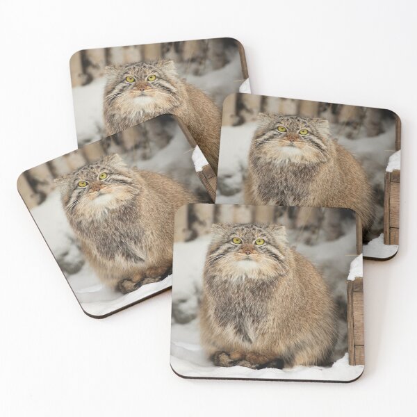 Item preview, Emma the Pallas's cat is waiting for spring to come designed and sold by Manulization.
