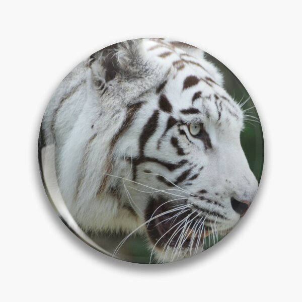 Item preview, wildlife photography of tiger animal lovers designed and sold by BestDesign87.